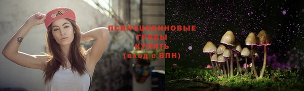 молекула духа Беломорск