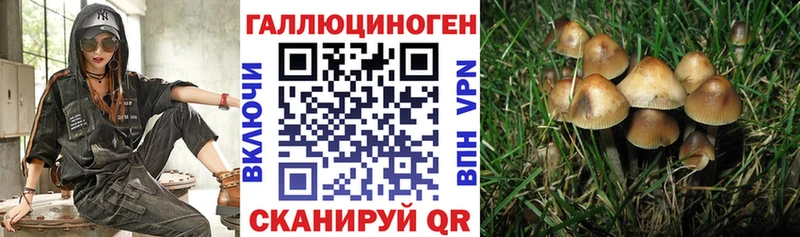 закладки  Вуктыл  Псилоцибиновые грибы Magic Shrooms 